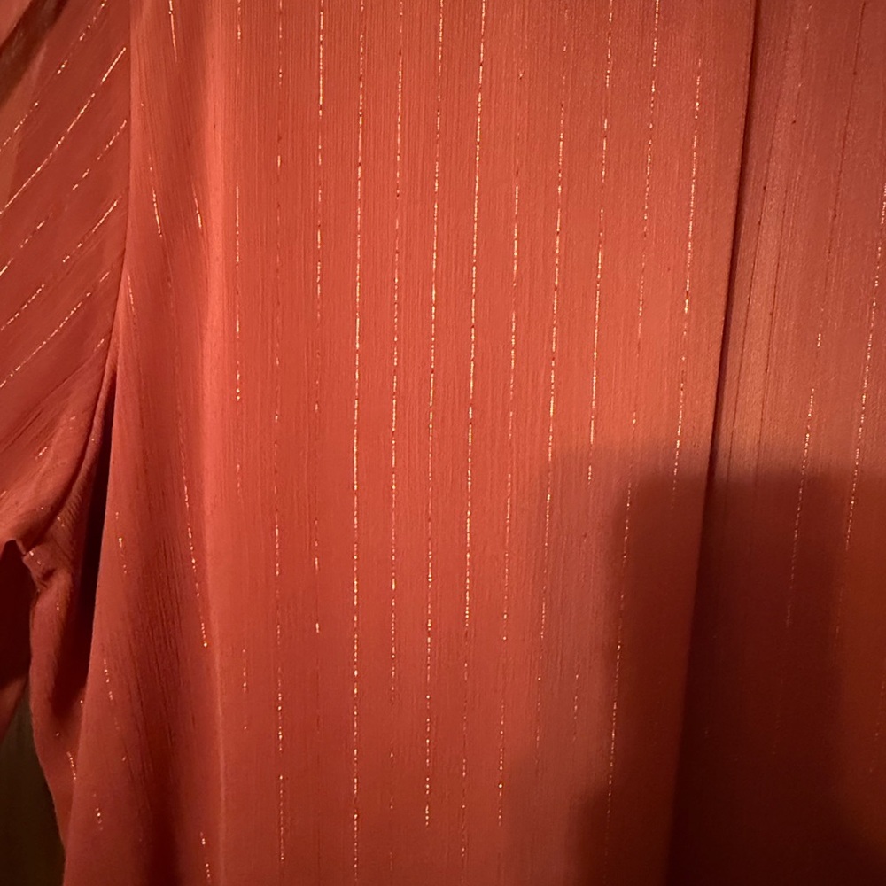Collection B Rust Blouse - Picture 3 of 5